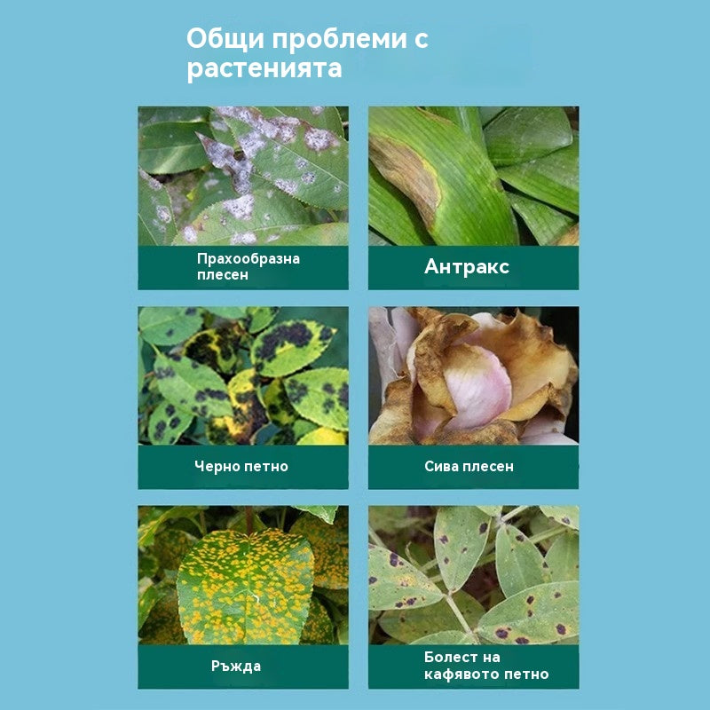 🔥🌱Универсален, неразреден разтвор за градинарски торове